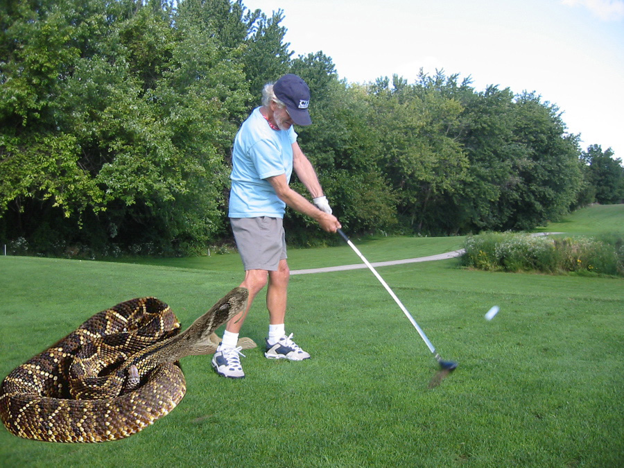 jerry golfing